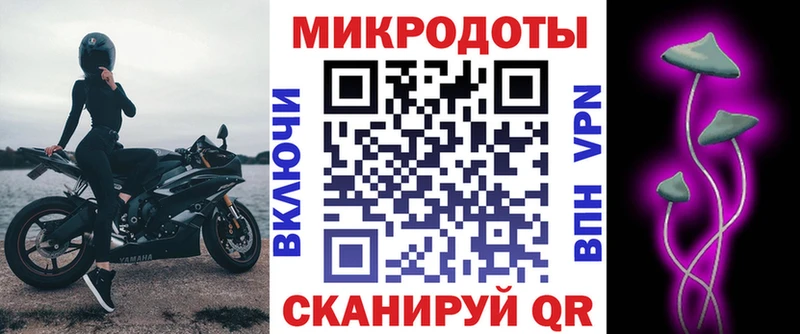 Псилоцибиновые грибы Psilocybine cubensis  Спасск-Рязанский 
